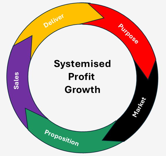 Systemised profit growth: moving from vision to predictable revenue